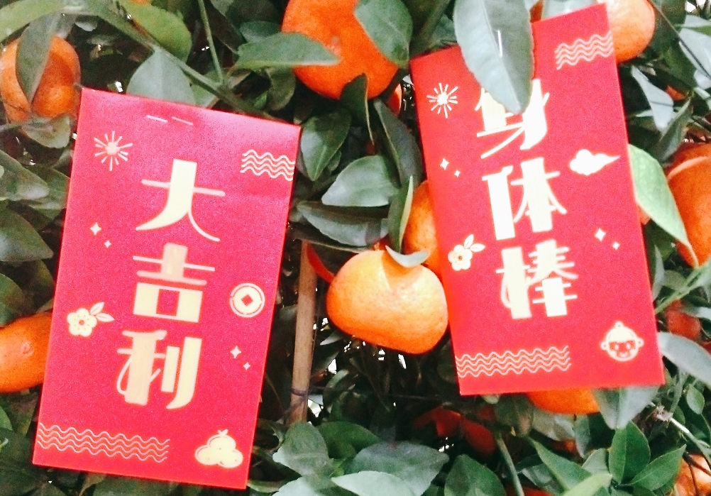 好嗨哦!心意满满的绿茵体育猪送“猪”福